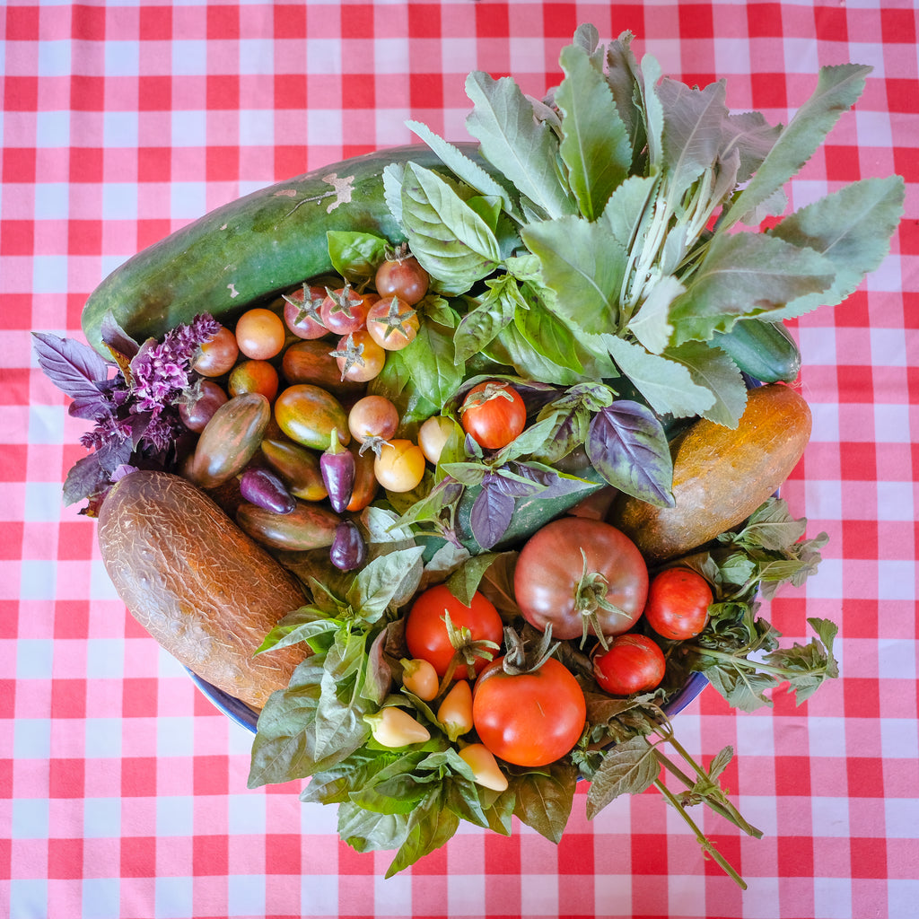 ¿Qué son los Biofertilizantes y para qué ocuparlos?