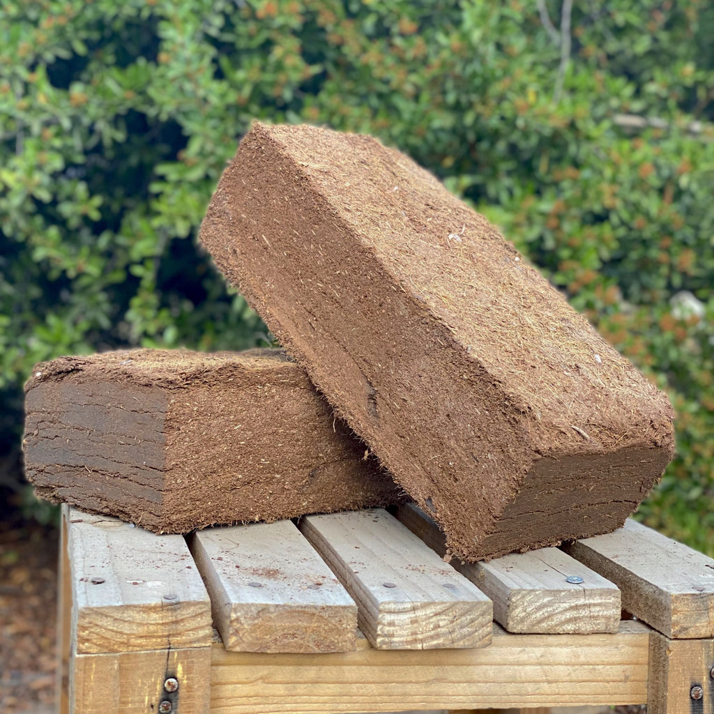 Bloque de Fibra de Coco