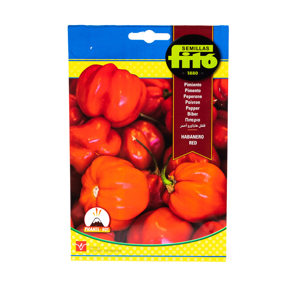 Semillas Ají Habanero Rojo