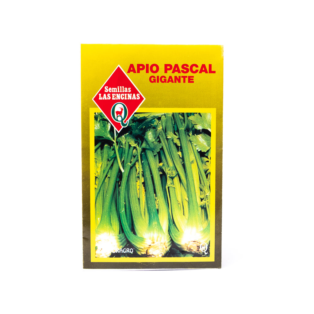 Semillas Apio Pascal Gigante