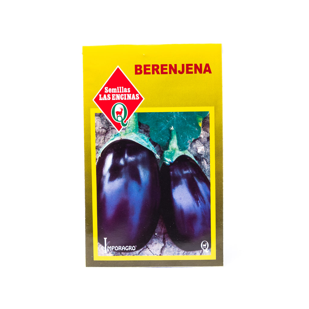 Semillas de Berenjenas