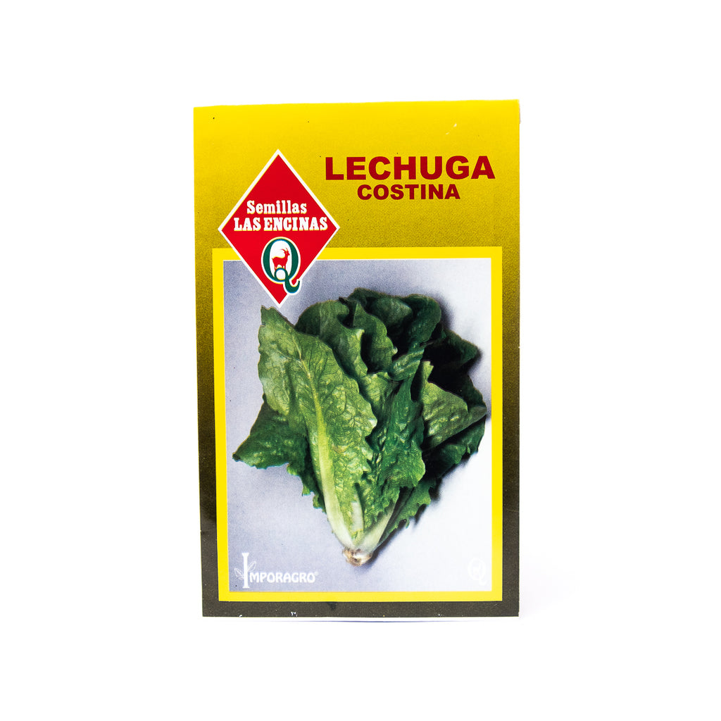 Semillas de Lechuga Costina