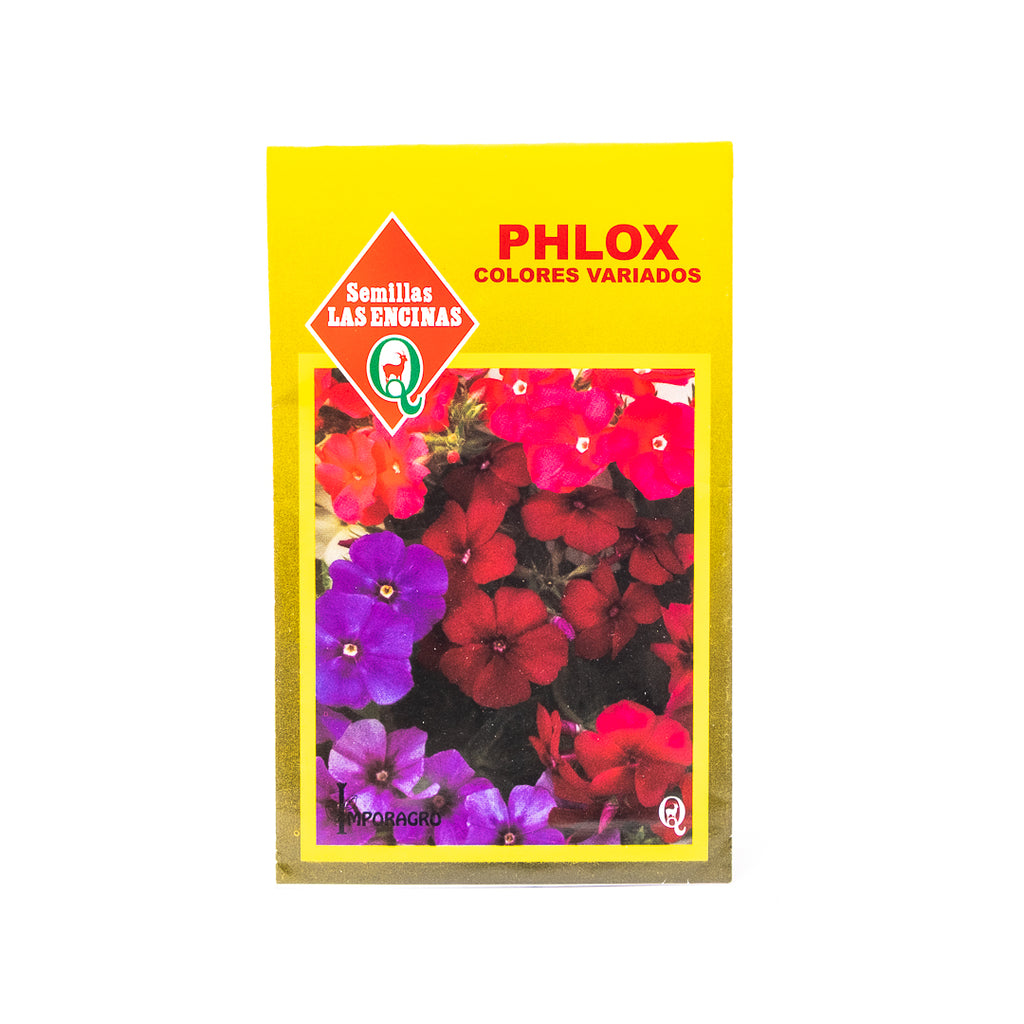 Semillas de Flores Phlox