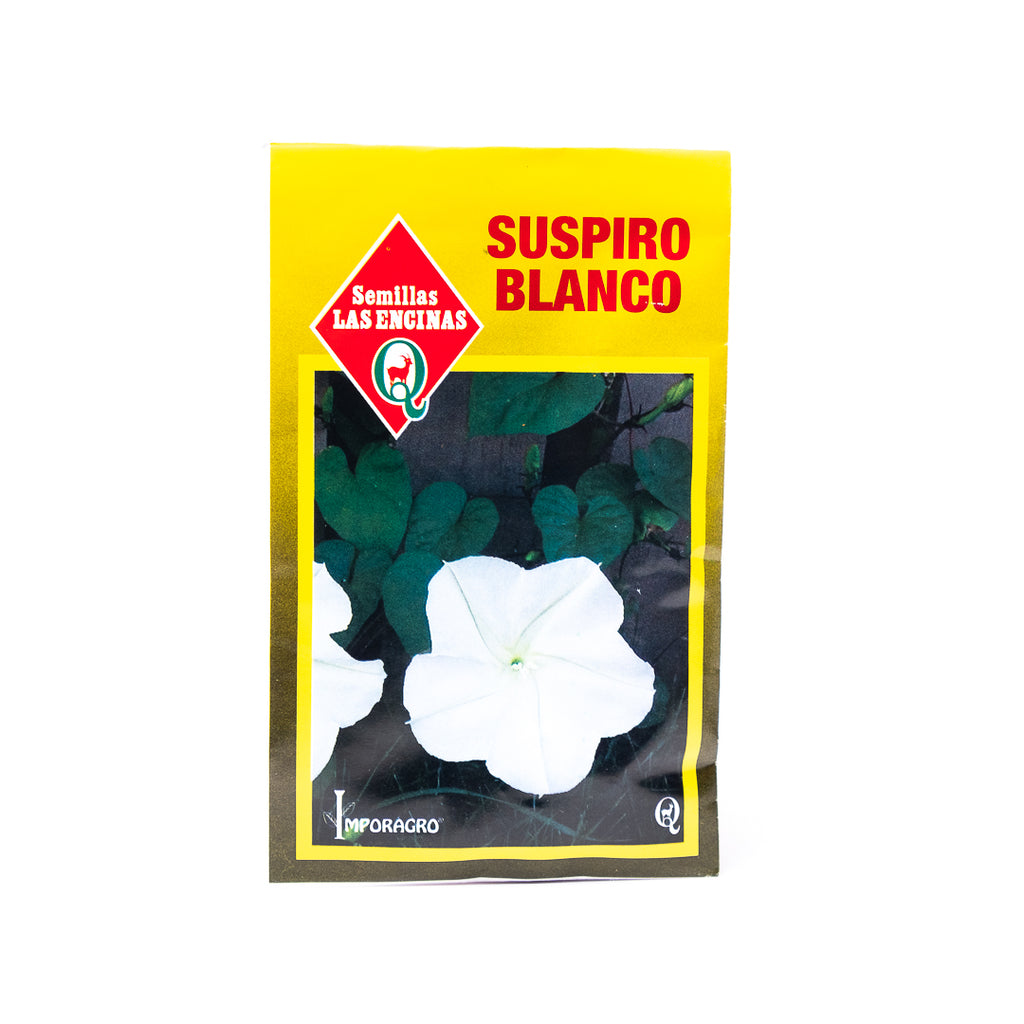 Semillas de Flores Suspiro Blanco