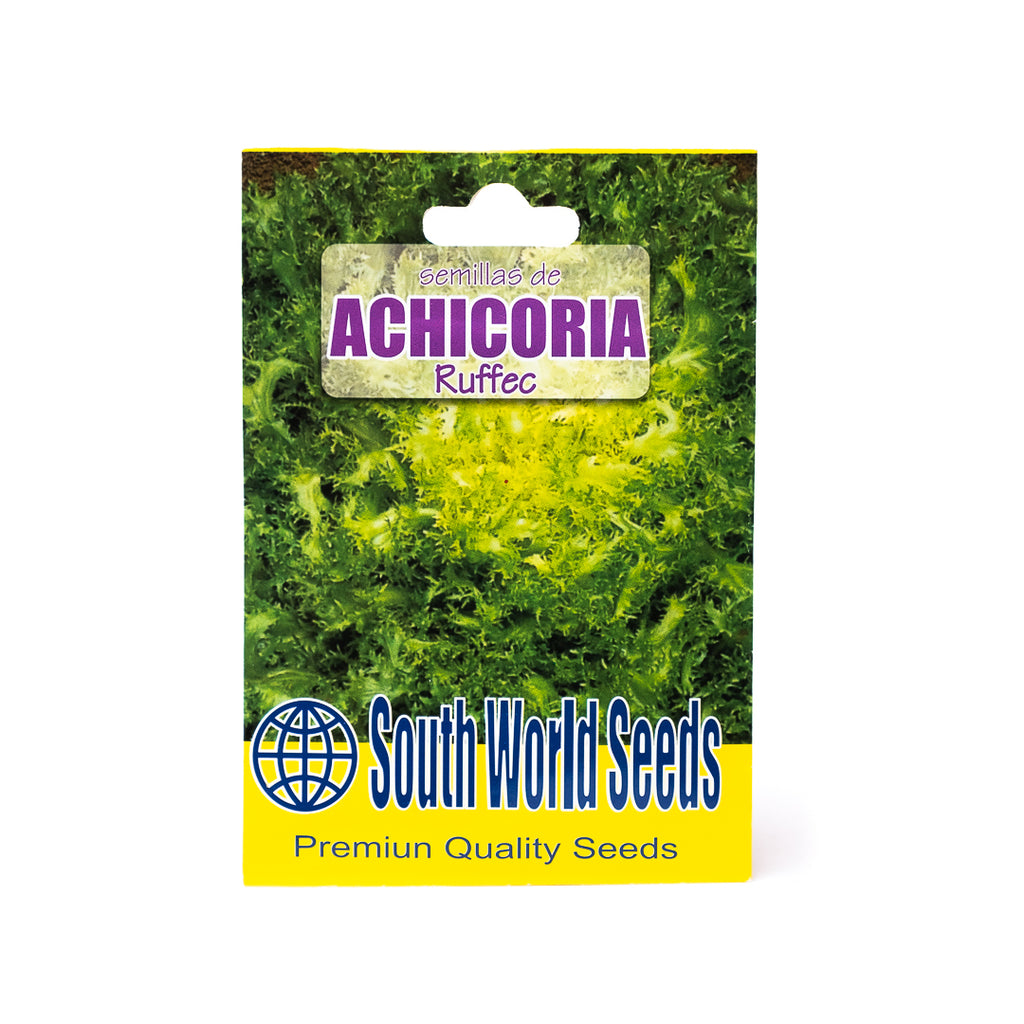 Semillas Achicoria