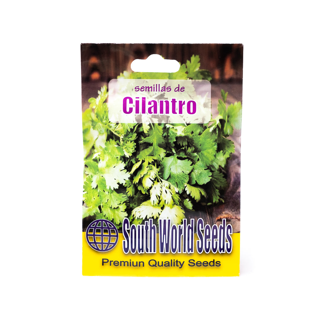 Semillas de Cilantro